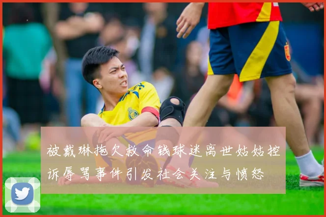 被戴琳拖欠救命钱球迷离世姑姑控诉辱骂事件引发社会关注与愤怒