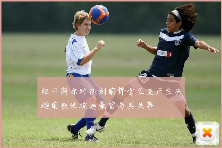 纽卡斯尔对热刺前锋索兰克产生兴趣前教练埃迪豪曾与其共事