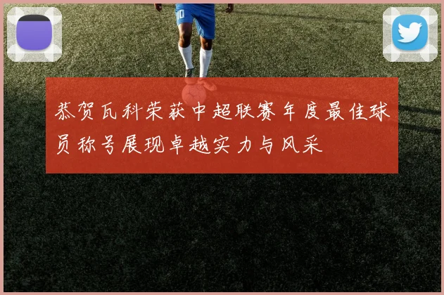 恭贺瓦科荣获中超联赛年度最佳球员称号展现卓越实力与风采