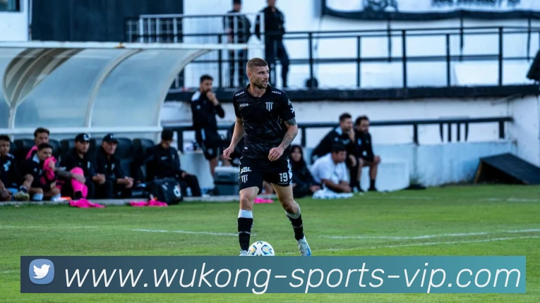 悟空体育平台生态图